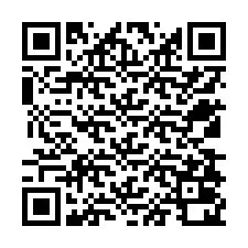QR Code for Phone number +12538020190
