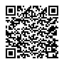 Código QR para número de teléfono +12538020939