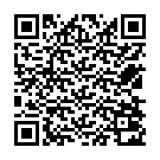 QR-koodi puhelinnumerolle +12538022327