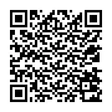 Codice QR per il numero di telefono +12538022708