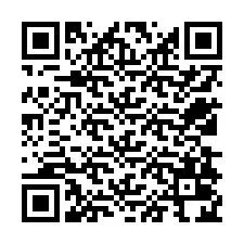 QR код за телефонен номер +12538024569