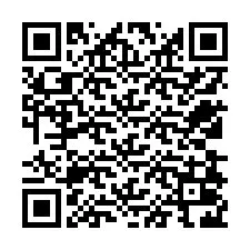 QR код за телефонен номер +12538026039