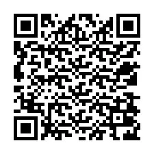 QR-Code für Telefonnummer +12538026088