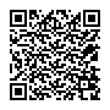 Código QR para número de teléfono +12538028451