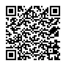 QR-Code für Telefonnummer +12538029803