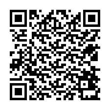 Codice QR per il numero di telefono +12538431722