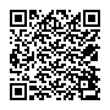 Codice QR per il numero di telefono +12538433693