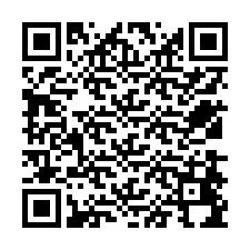 QR Code สำหรับหมายเลขโทรศัพท์ +12538494043