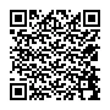 QR Code pour le numéro de téléphone +12538494976