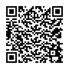 QR Code for Phone number +12538495129