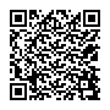 QR Code for Phone number +12538497595