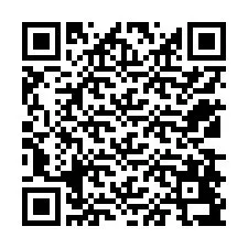 QR Code pour le numéro de téléphone +12538497595