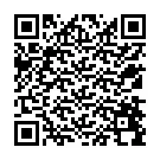 QR Code for Phone number +12538498740