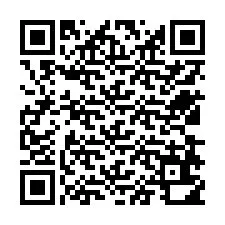 QR Code for Phone number +12538610426