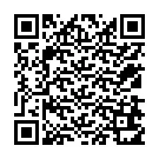 QR Code for Phone number +12538611041