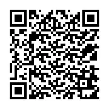 QR-Code für Telefonnummer +12538611041