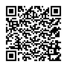 QR-Code für Telefonnummer +12538611042