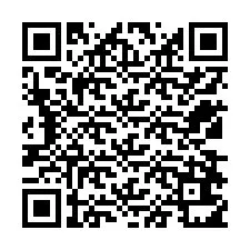 Kode QR untuk nomor Telepon +12538611295