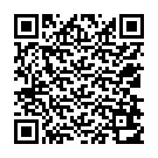 QR Code for Phone number +12538612478