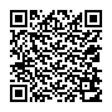 QR Code สำหรับหมายเลขโทรศัพท์ +12538612478