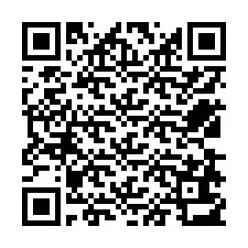 QR-koodi puhelinnumerolle +12538613127