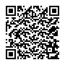 QR Code for Phone number +12538613539