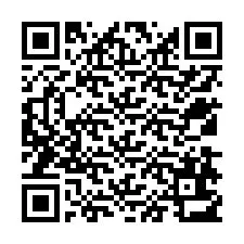 QR kód a telefonszámhoz +12538613540