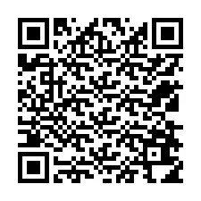 QR Code for Phone number +12538614365
