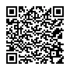 QR Code pour le numéro de téléphone +12538614365