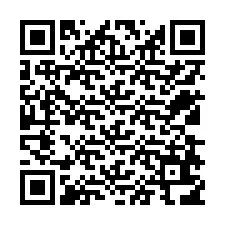 QR Code สำหรับหมายเลขโทรศัพท์ +12538616461