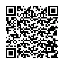 Codice QR per il numero di telefono +12538616724