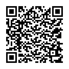 QR-Code für Telefonnummer +12538617168