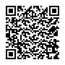 QR Code for Phone number +12538619646