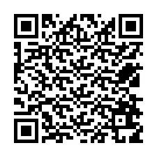 QR-Code für Telefonnummer +12538619767