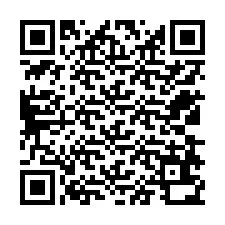 QR-Code für Telefonnummer +12538630435