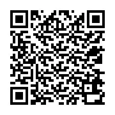 Codice QR per il numero di telefono +12538630898