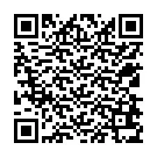 QR-код для номера телефона +12538635060