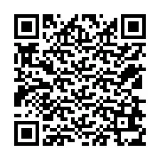 QR-Code für Telefonnummer +12538635061