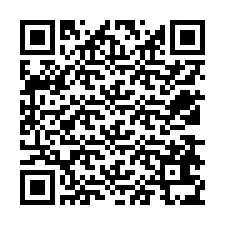 QR Code pour le numéro de téléphone +12538635989