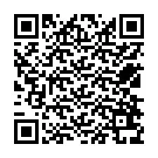 QR Code pour le numéro de téléphone +12538639677