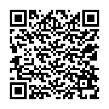 QR Code pour le numéro de téléphone +12538639678