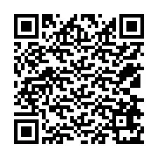 Código QR para número de teléfono +12538671931