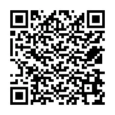 QR-Code für Telefonnummer +12538674087