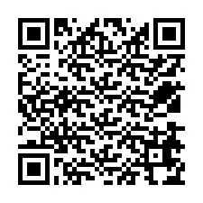 Código QR para número de telefone +12538674803