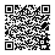 QR код за телефонен номер +12538691827