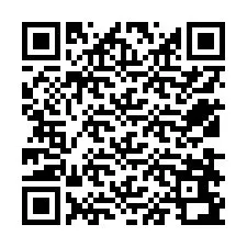 Codice QR per il numero di telefono +12538692313