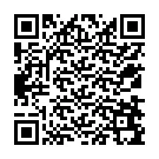 QR Code pour le numéro de téléphone +12538695300