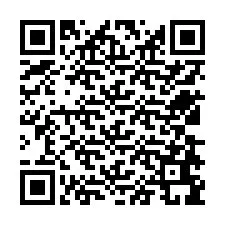 QR-koodi puhelinnumerolle +12538699176