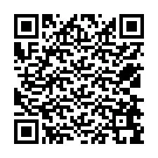 QR Code for Phone number +12538699933
