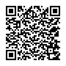 QR Code pour le numéro de téléphone +12538752574